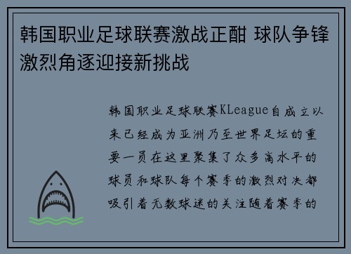 韩国职业足球联赛激战正酣 球队争锋激烈角逐迎接新挑战